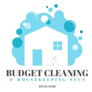 Budget Cleaning